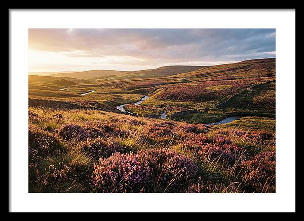 Moorland Serenity At Sunset