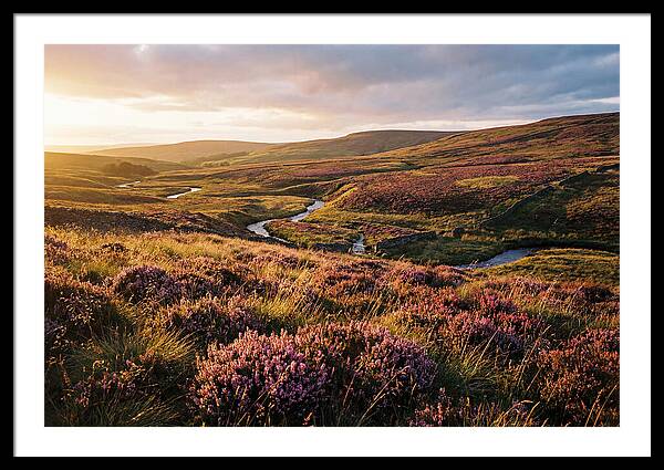 Moorland Serenity At Sunset