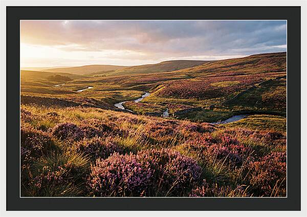 Moorland Serenity At Sunset