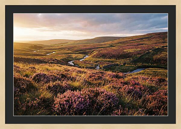 Moorland Serenity At Sunset