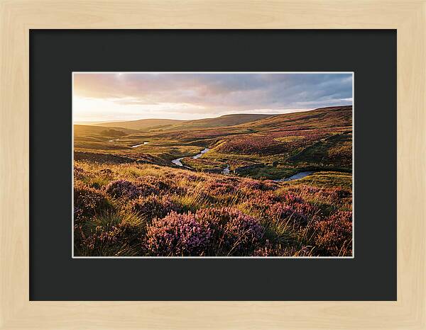 Moorland Serenity At Sunset