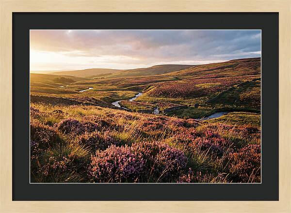 Moorland Serenity At Sunset