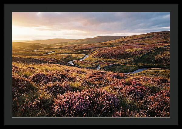 Moorland Serenity At Sunset