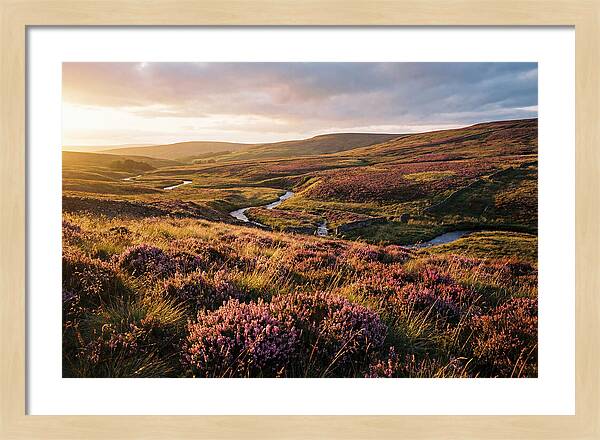 Moorland Serenity At Sunset