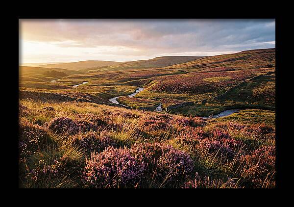 Moorland Serenity At Sunset