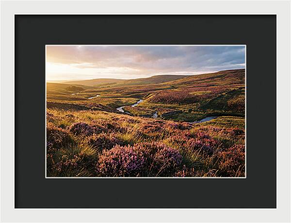 Moorland Serenity At Sunset