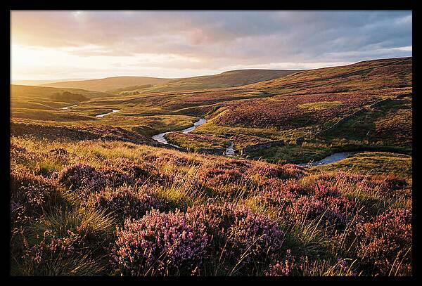 Moorland Serenity At Sunset
