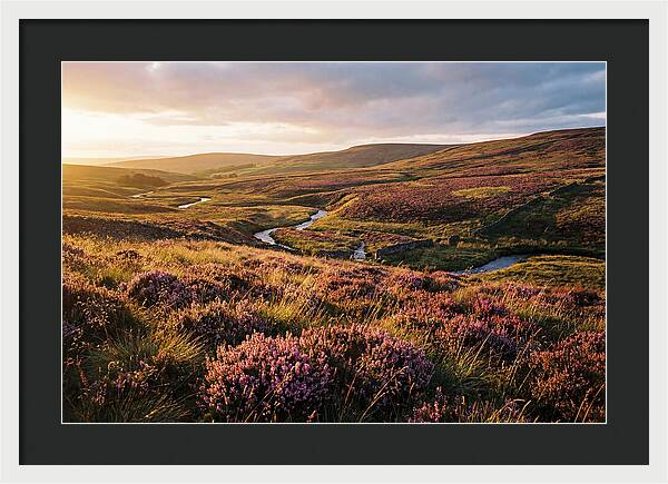 Moorland Serenity At Sunset