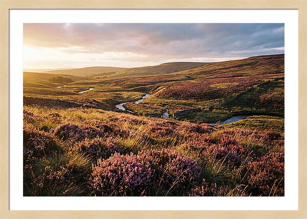 Moorland Serenity At Sunset