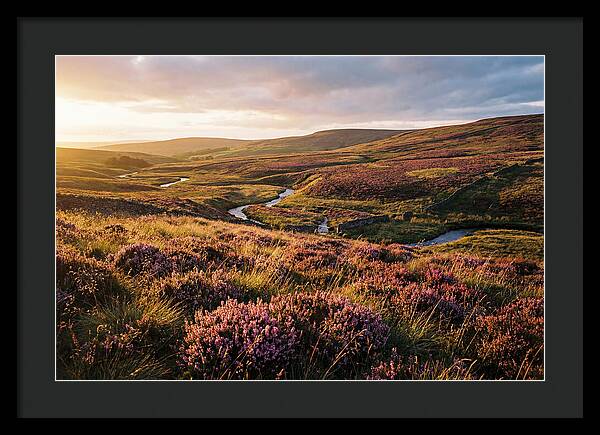 Moorland Serenity At Sunset