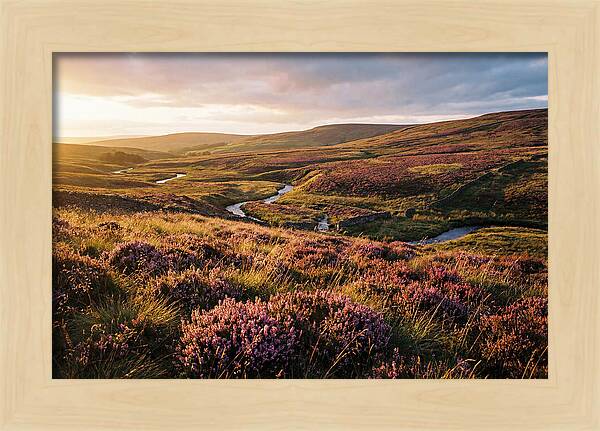 Moorland Serenity At Sunset