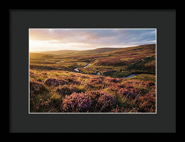 Moorland Serenity At Sunset