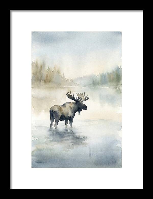 Moose Standing In Misty Lake