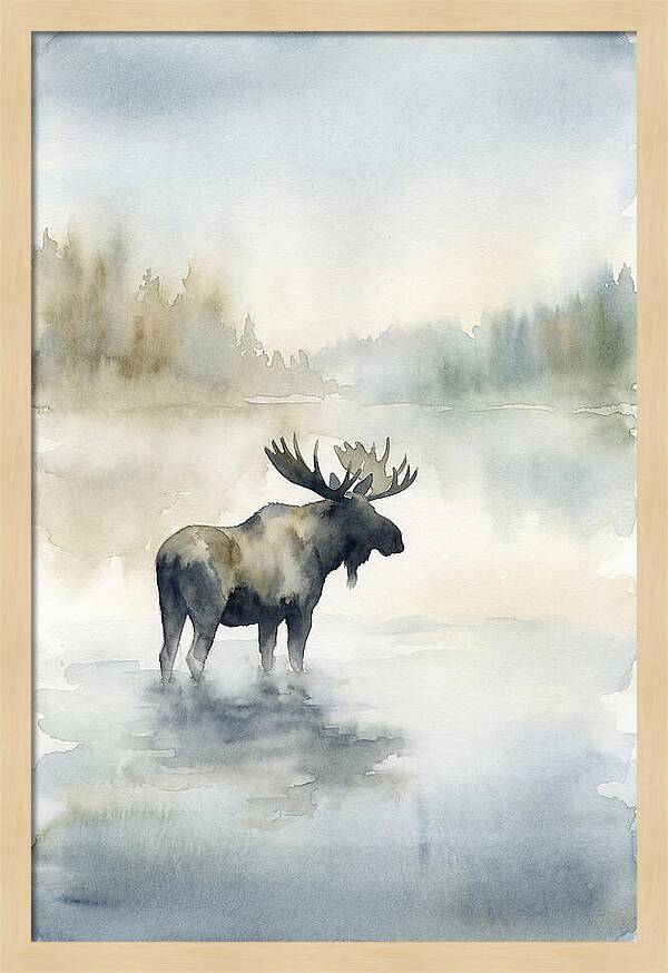 Moose Standing In Misty Lake