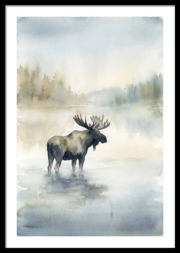 Moose Standing In Misty Lake