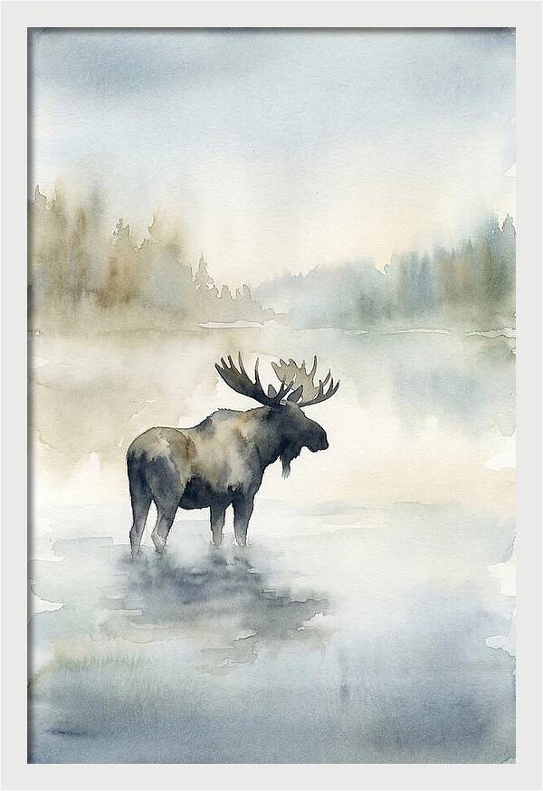 Moose Standing In Misty Lake