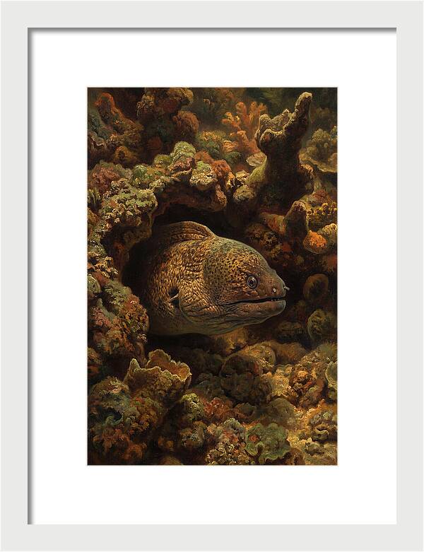 Moray Eel Peering From Coral Cave