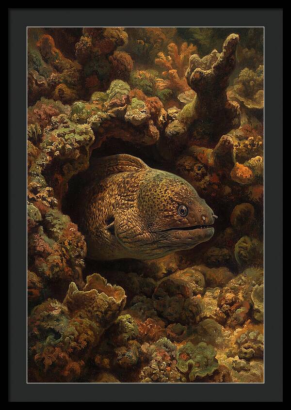 Moray Eel Peering From Coral Cave