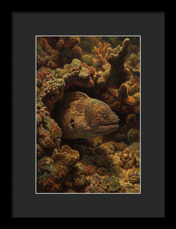 Moray Eel Peering From Coral Cave