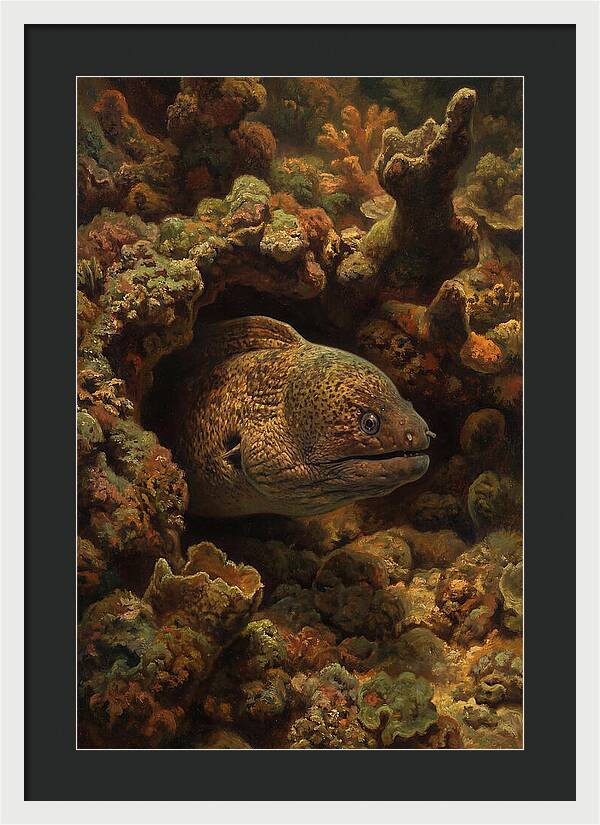 Moray Eel Peering From Coral Cave