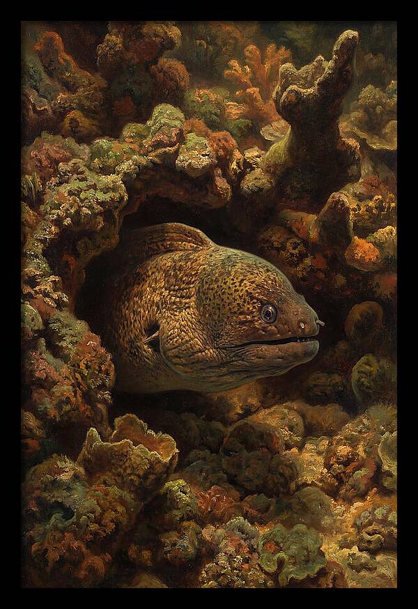 Moray Eel Peering From Coral Cave