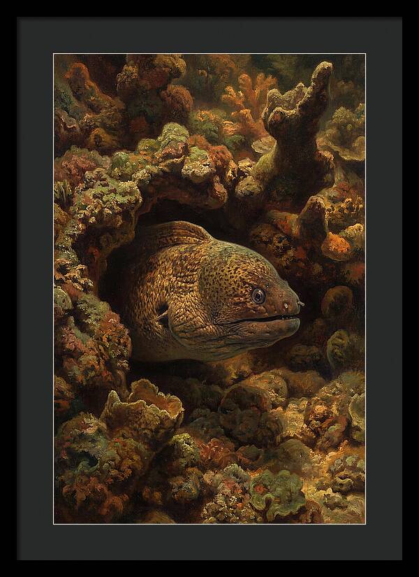 Moray Eel Peering From Coral Cave