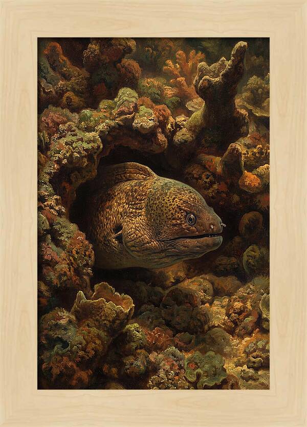 Moray Eel Peering From Coral Cave