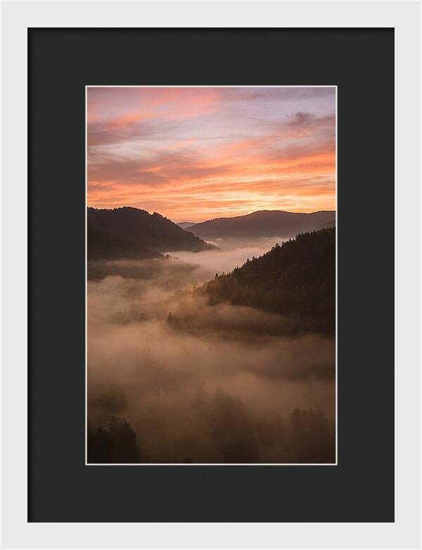 Morning Fog Embracing The Valley