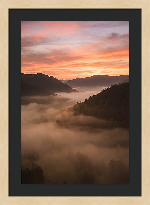 Morning Fog Embracing The Valley