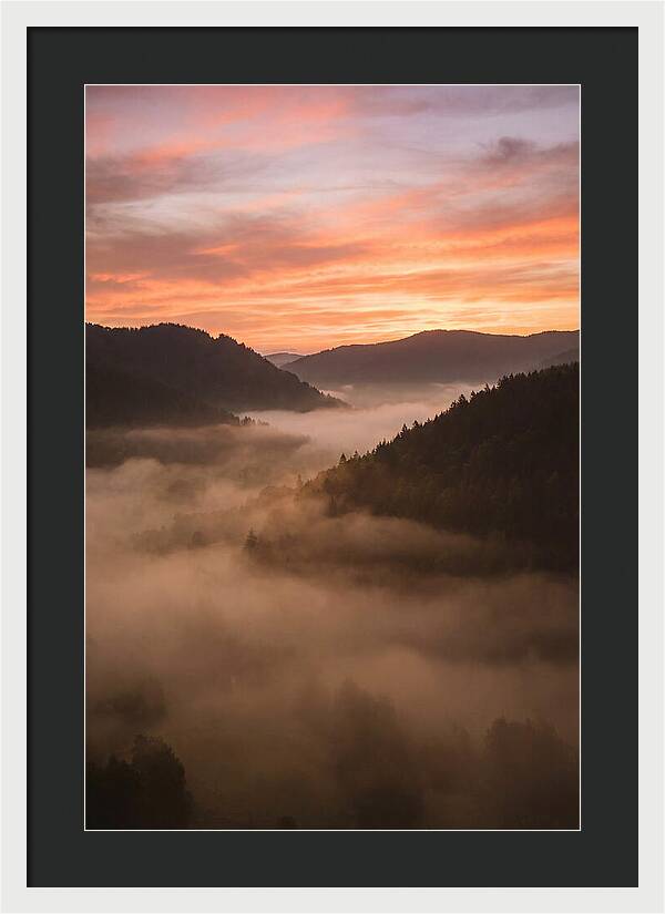 Morning Fog Embracing The Valley