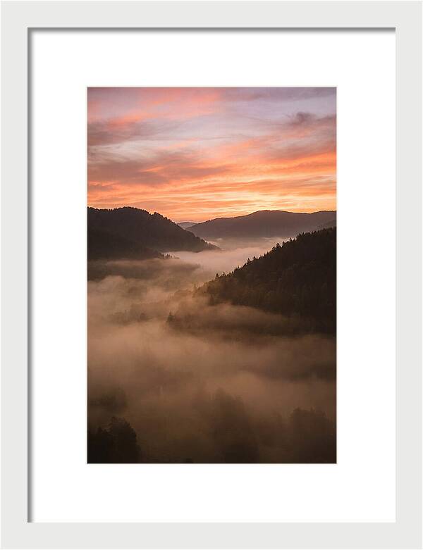 Morning Fog Embracing The Valley