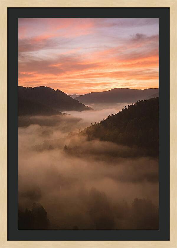 Morning Fog Embracing The Valley