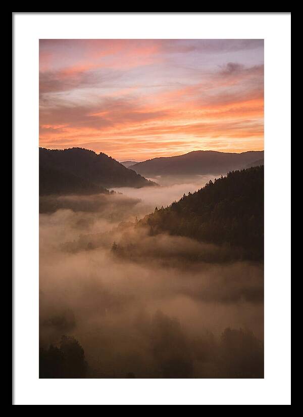 Morning Fog Embracing The Valley