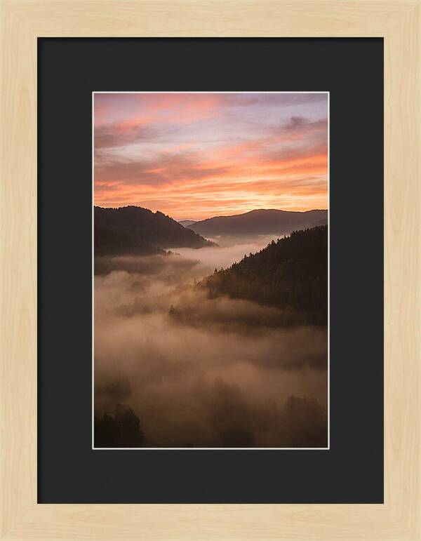 Morning Fog Embracing The Valley