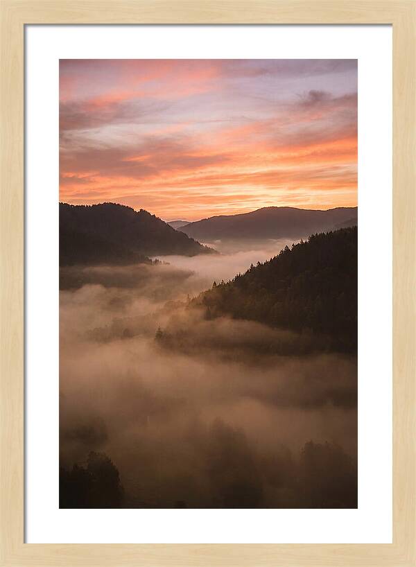 Morning Fog Embracing The Valley