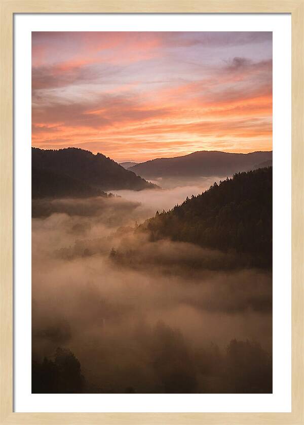 Morning Fog Embracing The Valley