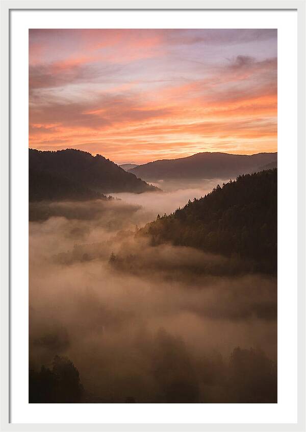 Morning Fog Embracing The Valley