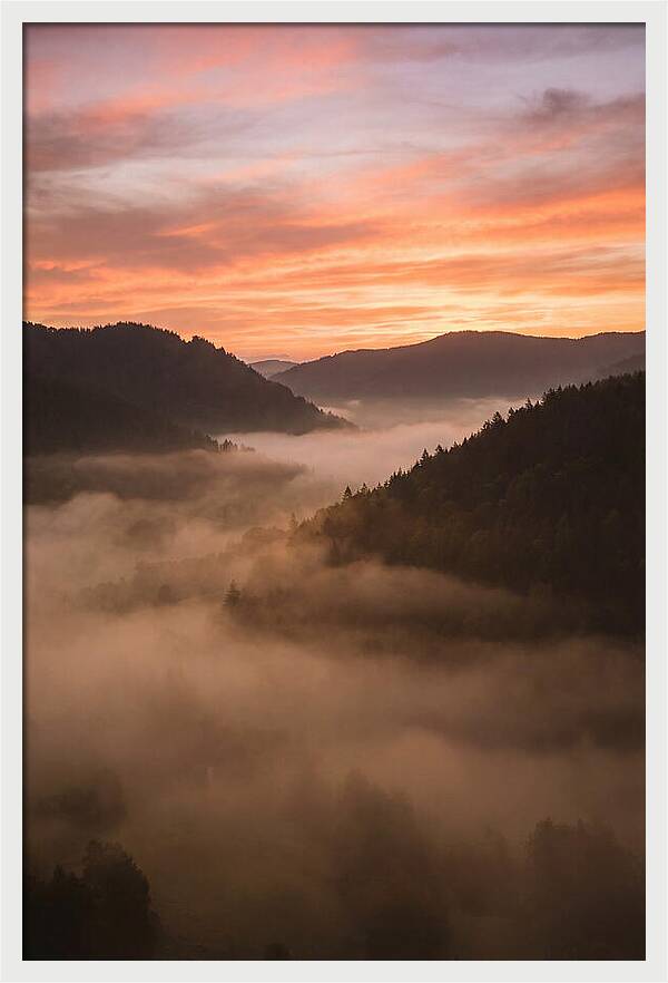 Morning Fog Embracing The Valley