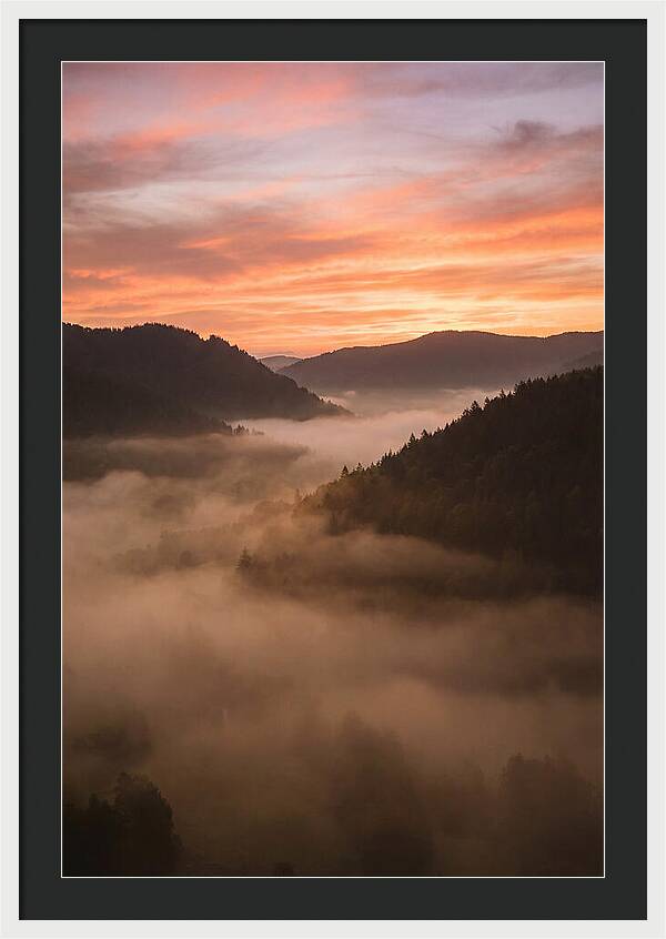 Morning Fog Embracing The Valley