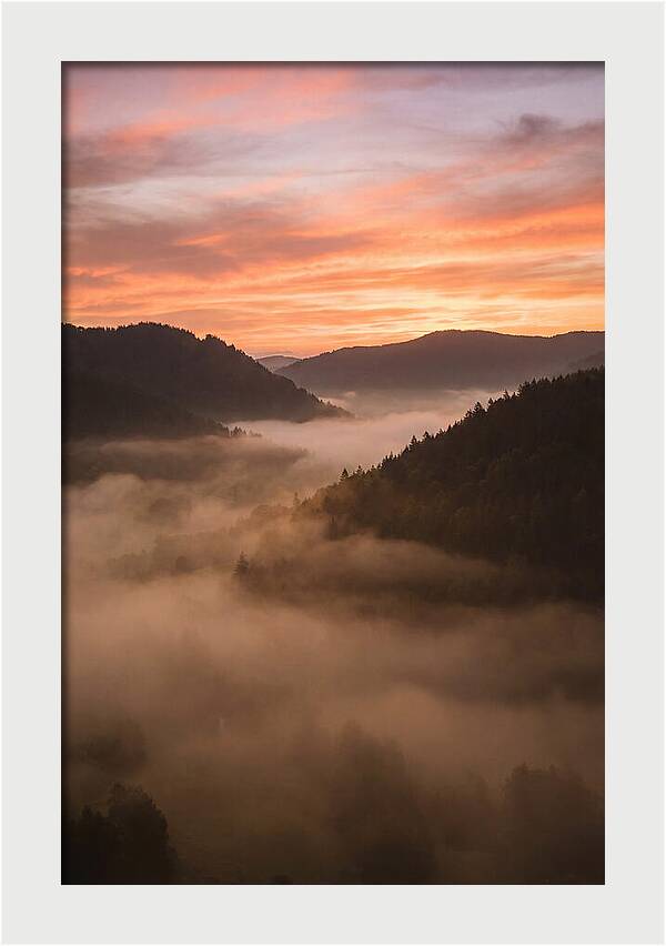 Morning Fog Embracing The Valley