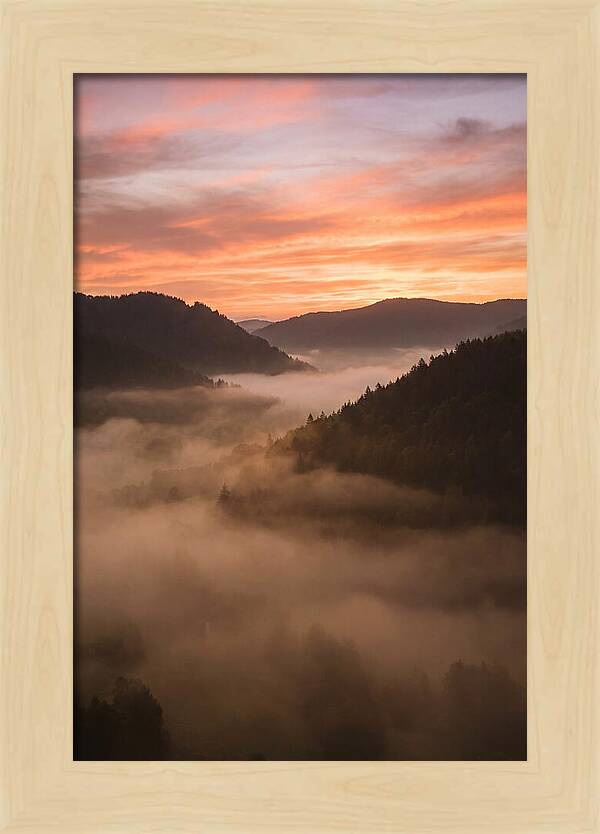 Morning Fog Embracing The Valley