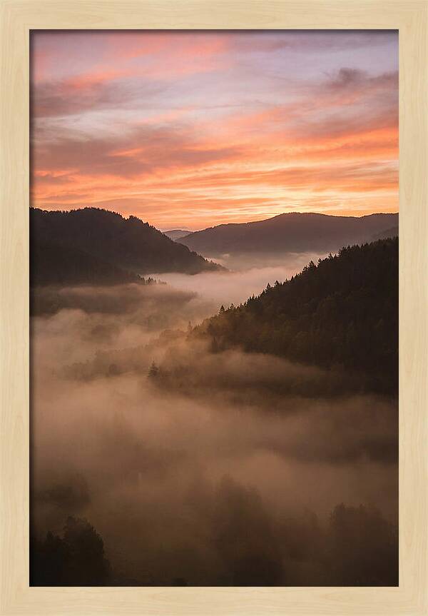 Morning Fog Embracing The Valley