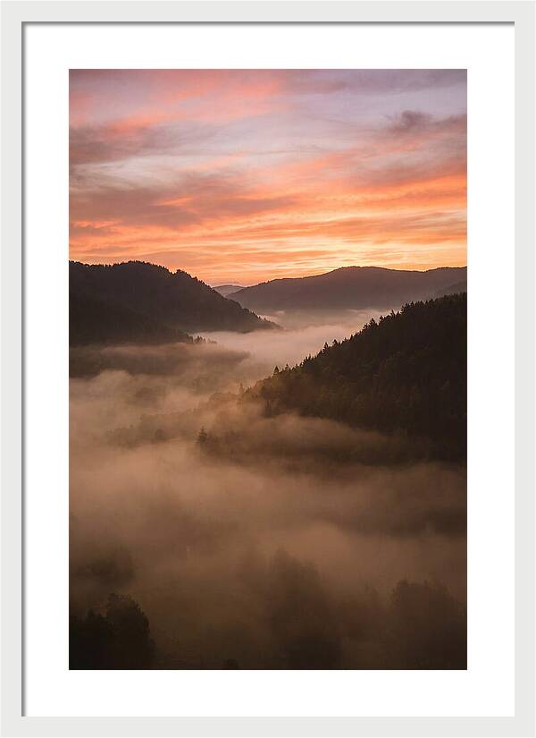 Morning Fog Embracing The Valley
