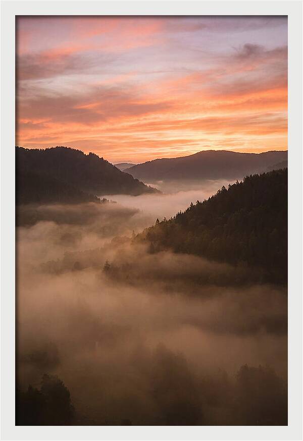 Morning Fog Embracing The Valley