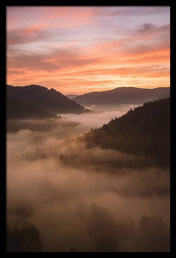 Morning Fog Embracing The Valley