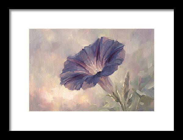 Morning Glory Opening At Dawn
