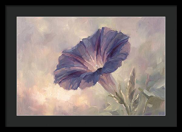 Morning Glory Opening At Dawn