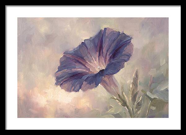 Morning Glory Opening At Dawn