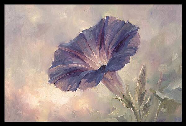 Morning Glory Opening At Dawn