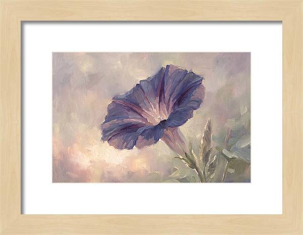 Morning Glory Opening At Dawn